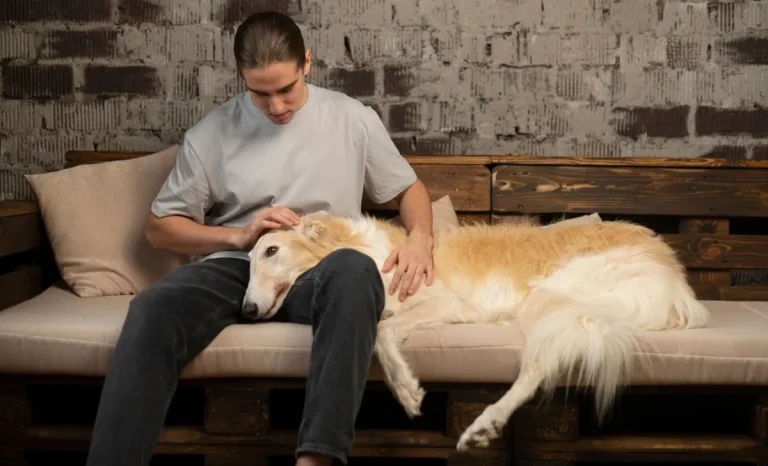 a man petting a dog