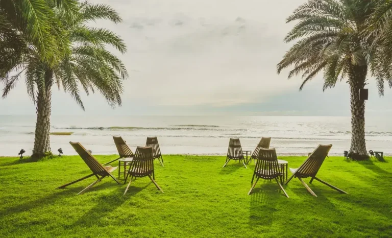 Wood chairs on the grass near beach