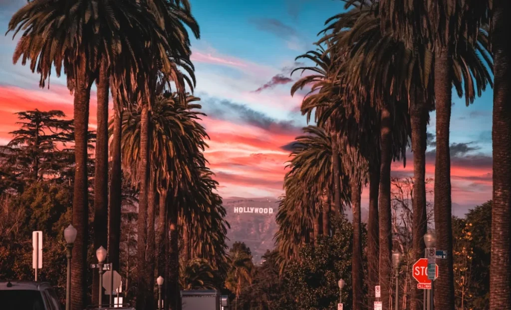 palm trees in los angeles