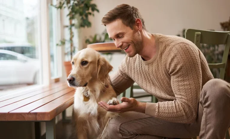 a man playing with a dog
