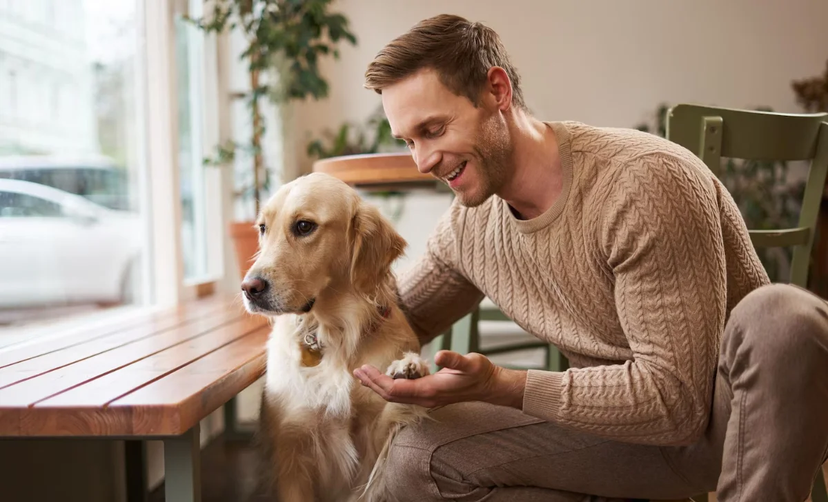a man playing with a dog