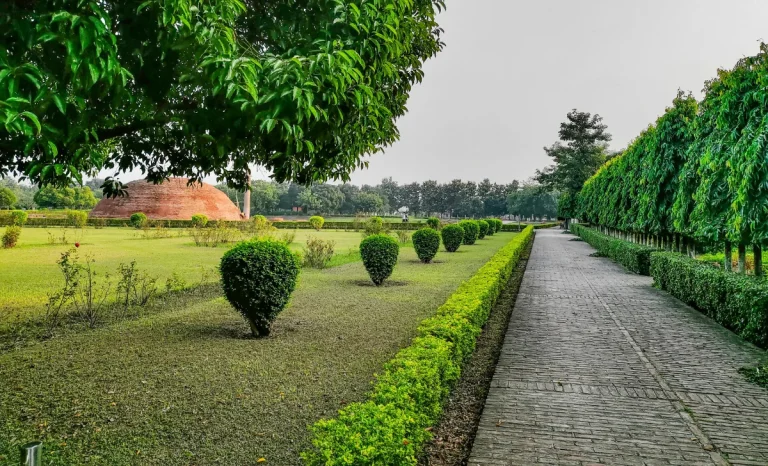 Landscaping near a street