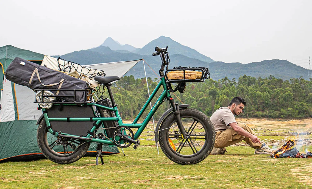 a 2 seater electric bike