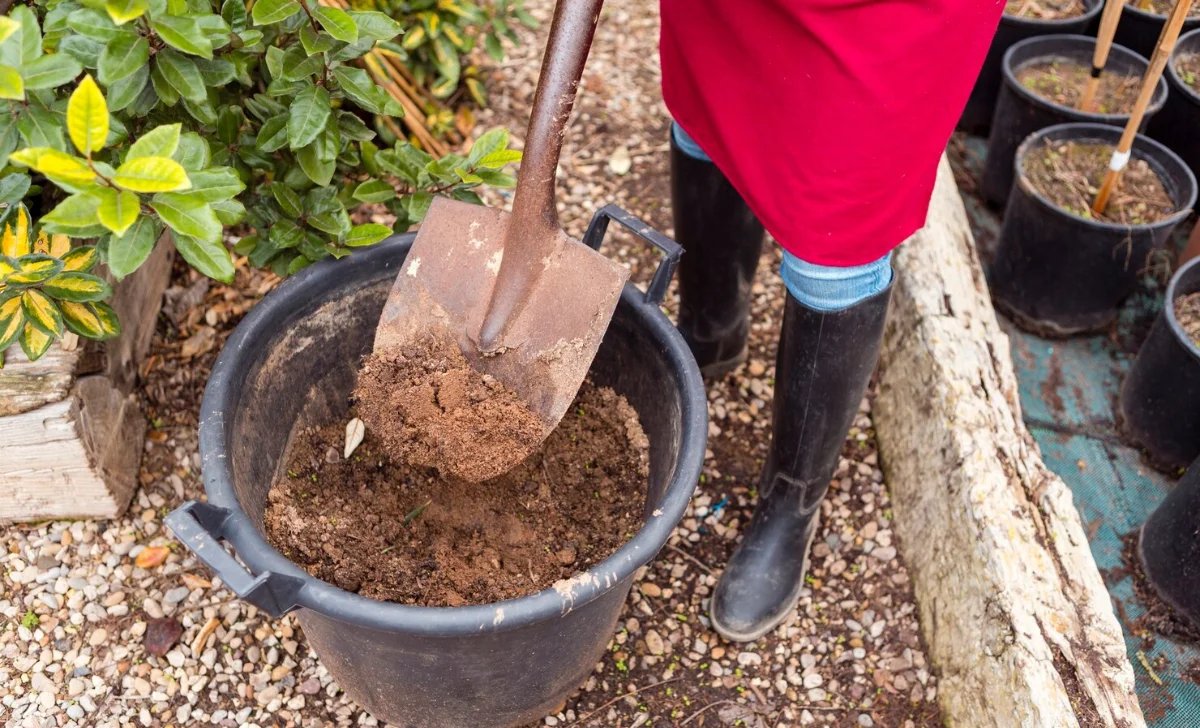 a person shoveling soil in of a plant pot