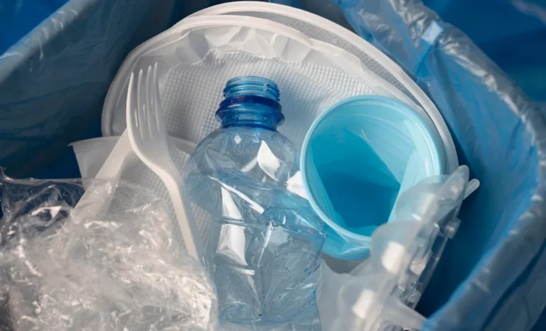 plastic bottle in a dust bin