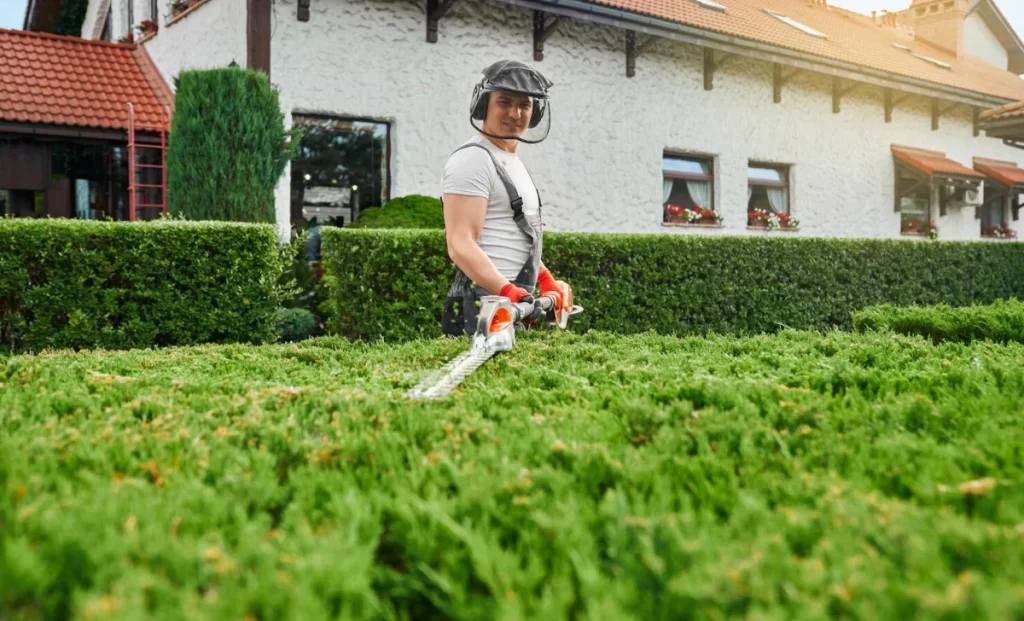 A man pruning bushes at garden