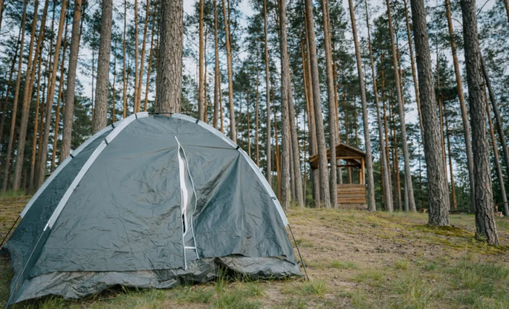 a grey camp in a forest