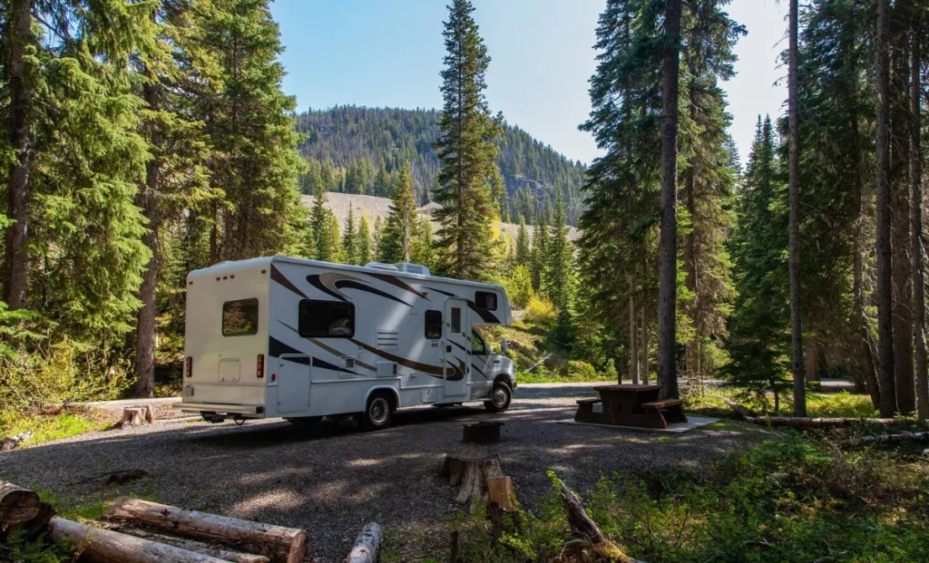 A Caravan in the forest
