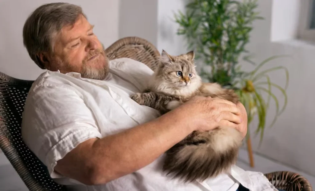 a man playing with a cat
