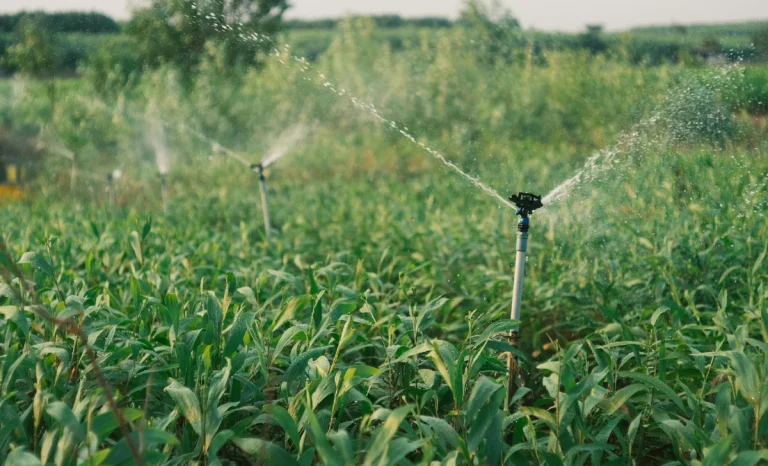 a sprinkler