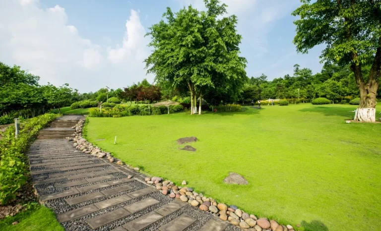 a landscaped garden