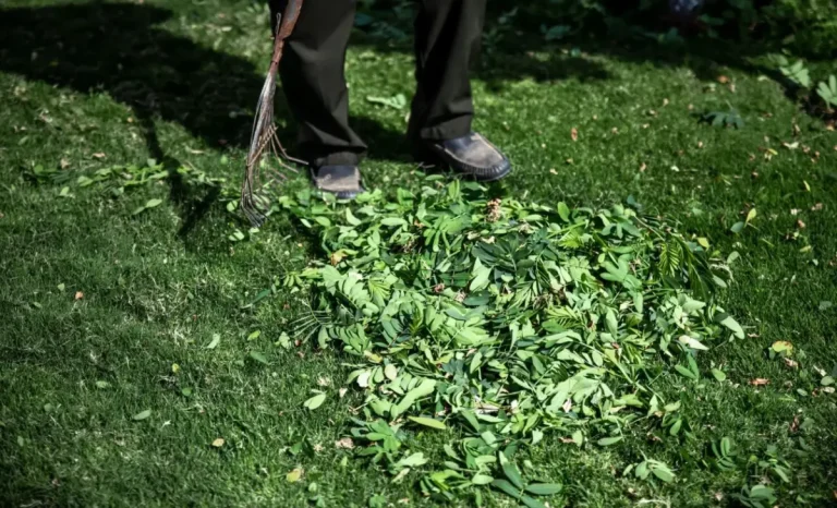 a-man-cleaning-garden