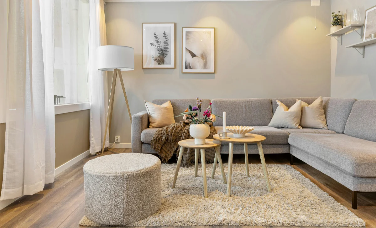 a rug in a living room