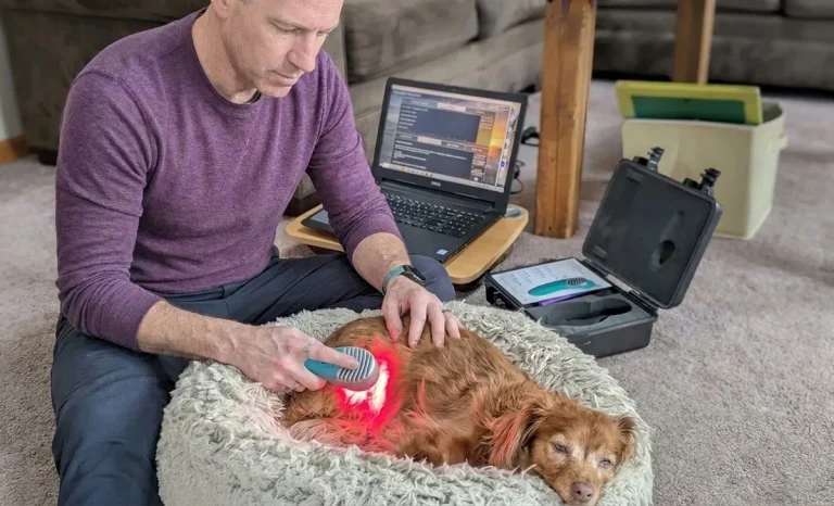red-light-therapy-dog