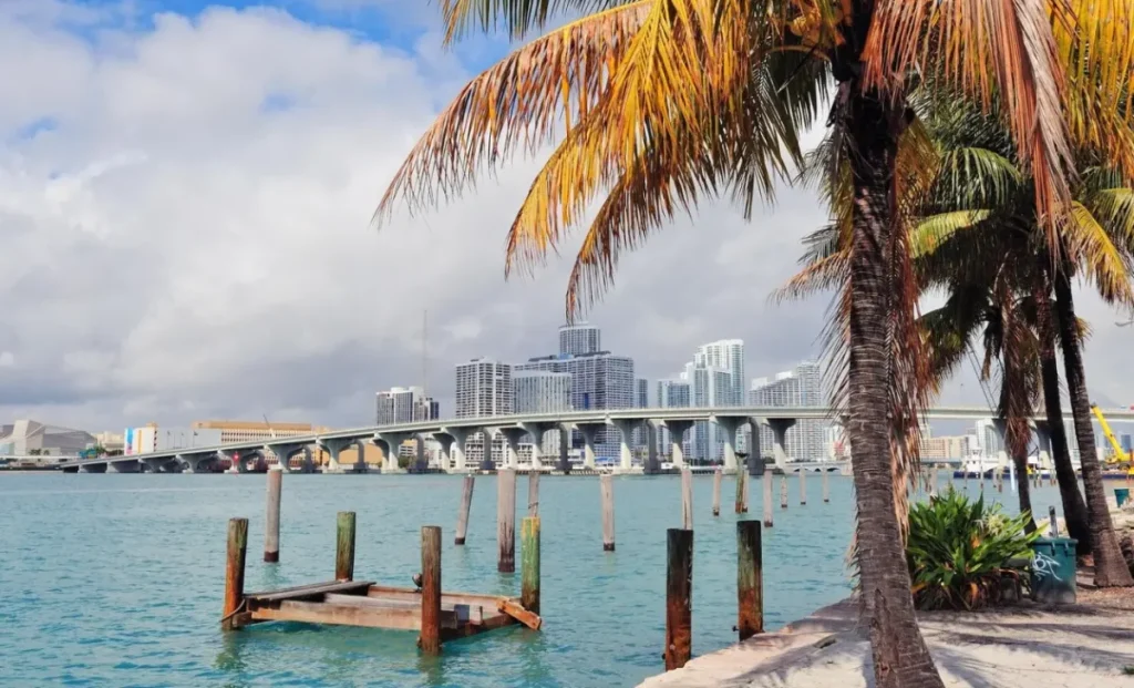 miami florida view