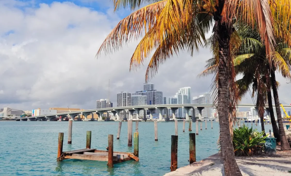 miami florida view